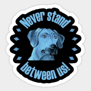 Rhodesian Ridgeback Sticker